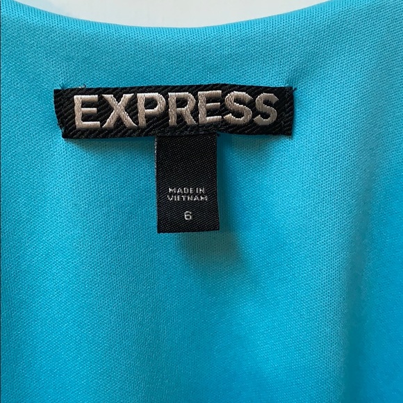 Express Dress - Picture 3 of 4